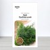 Насіння кропу Грибовський, 10г, Marvel